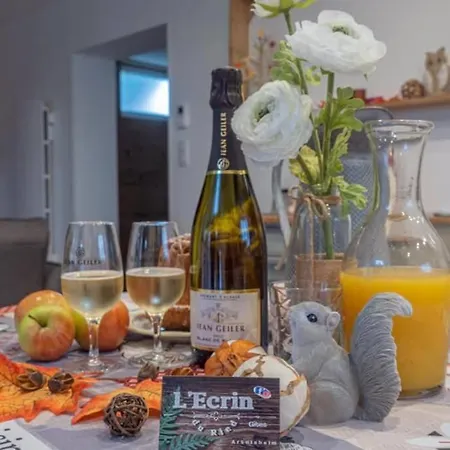 Cosy L'ecrin Du Ried Proche Europa-park Hébergement de vacances