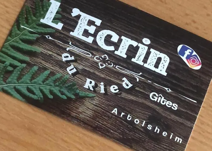 Hébergement de vacances Cosy L'ecrin Du Ried Proche Europa-park *